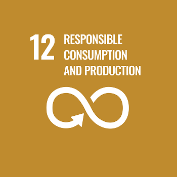 Responsible consumption and production