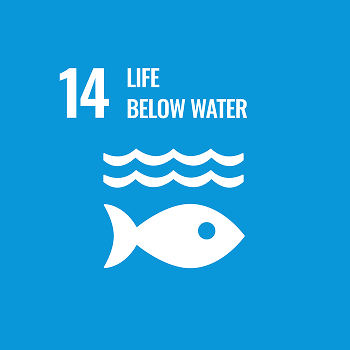 Life below water